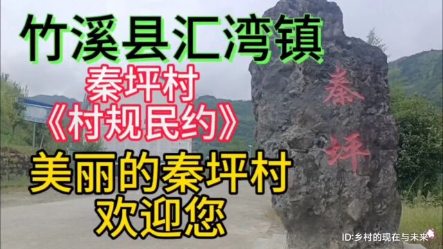 湖北省十堰市竹溪县汇湾镇秦坪村《村规民约》,美丽秦坪欢迎您!