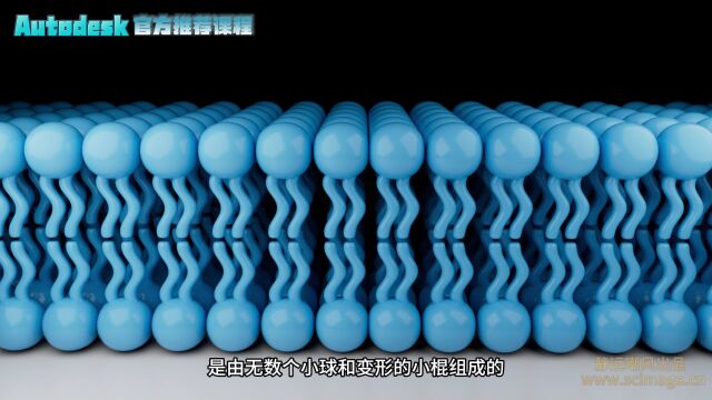 【SCI科研制图教程】科研制图|如何用3ds max做磷脂双分子层(3D MAX软件)