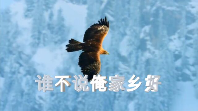 《谁不说俺家乡好》歌曲MV