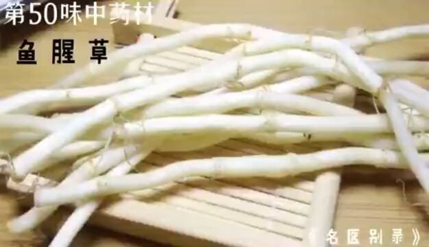 鱼腥草,今天讲讲鱼腥草的故事#中医 #鱼腥草 #民间故事 #中草药 #中药材