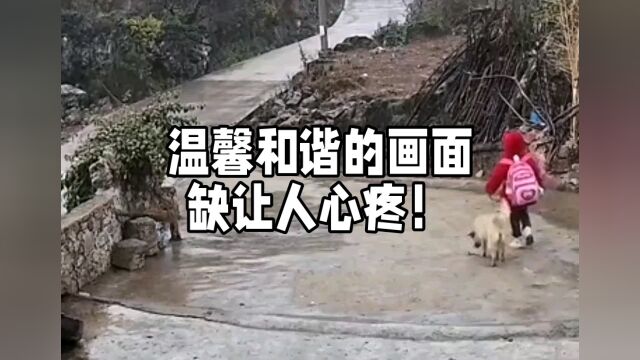 让人心酸的画面