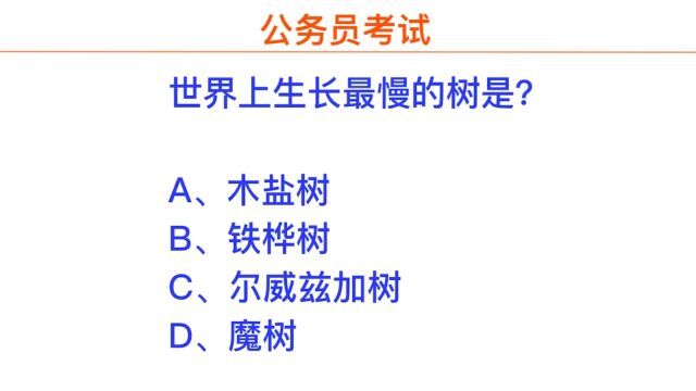 公务员考试,世界上什么树生长最慢,太神奇了