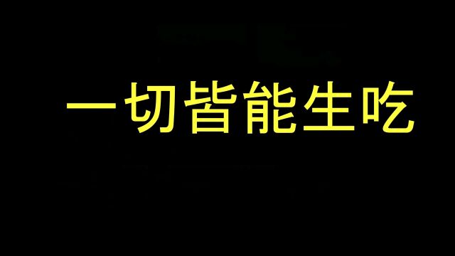 《一切皆可生吃》