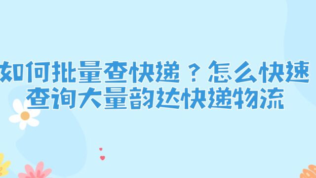 如何批量查快递?怎么快速查询大量韵达快递物流