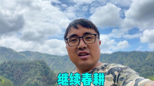 湖南大山天气好,冬宝继续春耕,3小时耕了一分左右,差点崩溃了