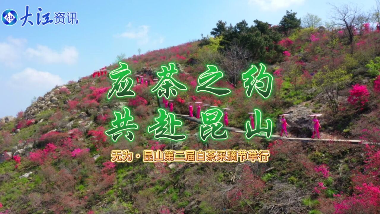 应茶之约 共赴昆山 无为•昆山第二届白茶采摘节举行