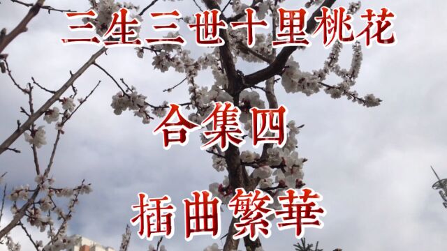 《三生三世十里桃花》影视插曲繁华!寓意爱情美满轮回转世相依相伴一辈子!