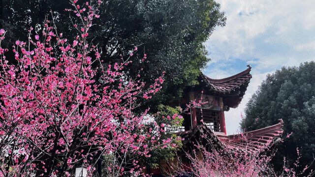 生院美好,繁花似锦