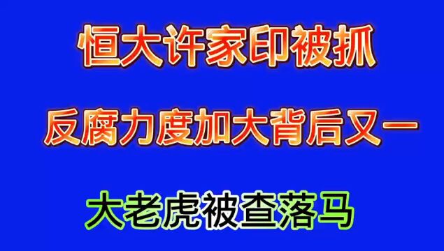 恒大许家印爆出最新内幕,背后大老虎被查落马.