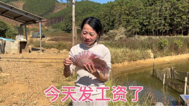 小邓山里养鸡,今天发工资了上交了5000元,媳妇夸我是个好男人