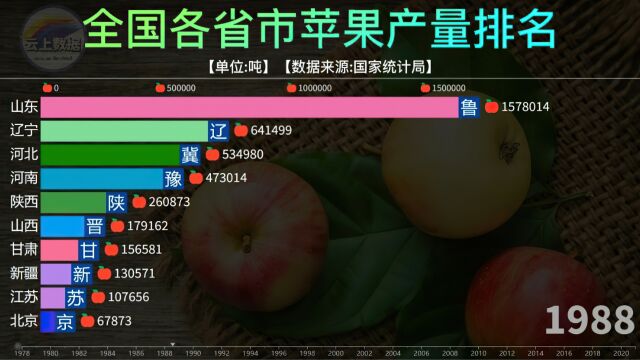 全国各省苹果产量排名,山东霸榜多年,陕西后来居上