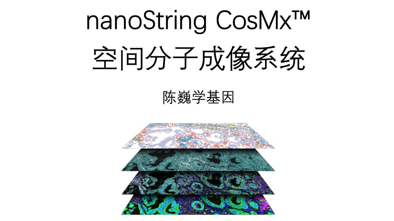 【陈巍学基因】CosMx 空间分子成像系统