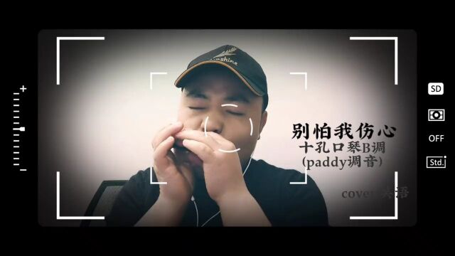 《别怕我伤心》十孔口琴演奏