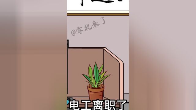 公司规定必须按照流程来