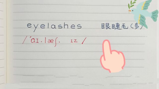 学单词eyelashes,eyelash眼睫毛