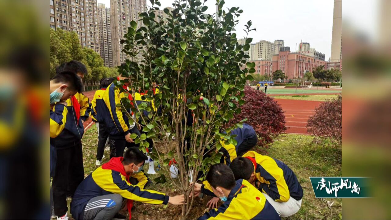 庐师风尚:让绿色成为校园生活底色:合肥市第四十五中学橡树湾校区