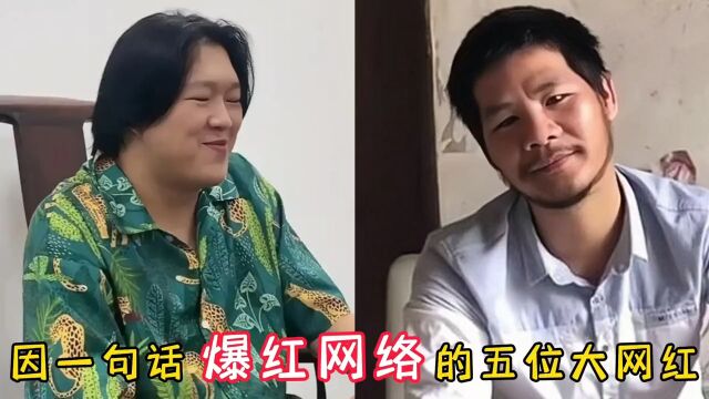 因一句话爆红网络的五位大网红