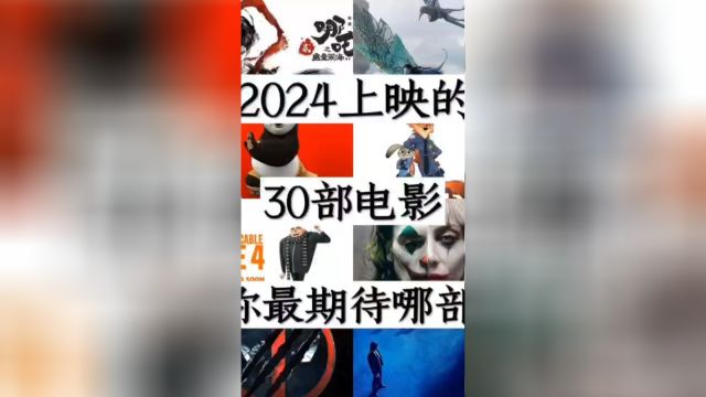 2024上映的30部电影