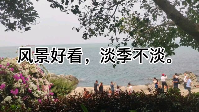 是报复性消费吗?今年三亚旅游淡季都人山人海.旺季不敢想.