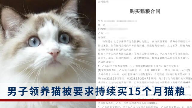 男子领养猫被要求持续买15个月猫粮,店家:避免遗弃猫咪