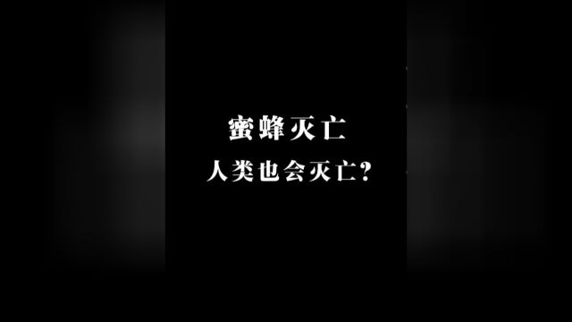 网络疯传的“蜜蜂灭亡人类也会灭亡?”究竟是危言耸听还是真实预言?今天就带大家了解一下蜜蜂的重要性以及这则预言