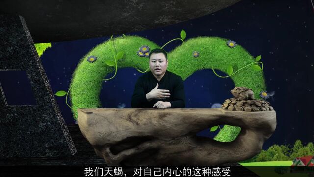 12星座情感特质大汇总之天蝎座,如何正确的了解天蝎座的爱情观