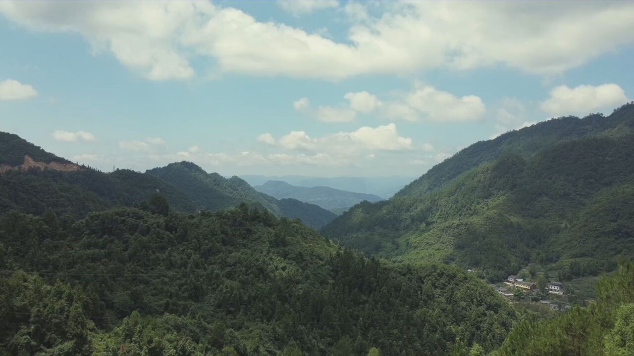 No.29 匠心绝活之草鞋传承