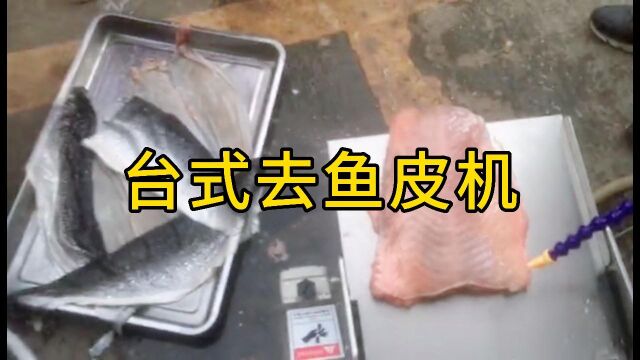 祥九瑞盈去鱼皮机之整条三文鱼剥皮操作实拍