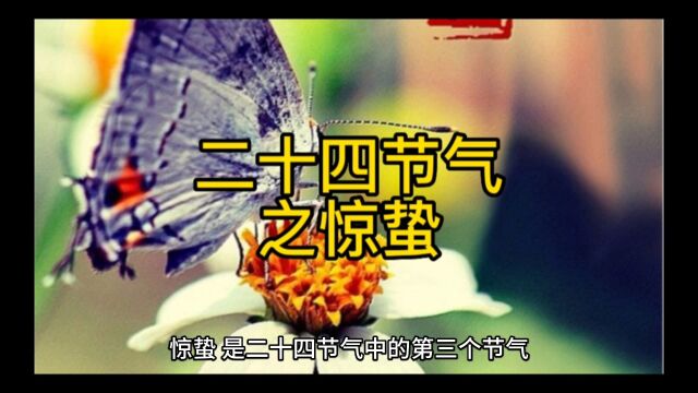 二十四节气之惊蛰