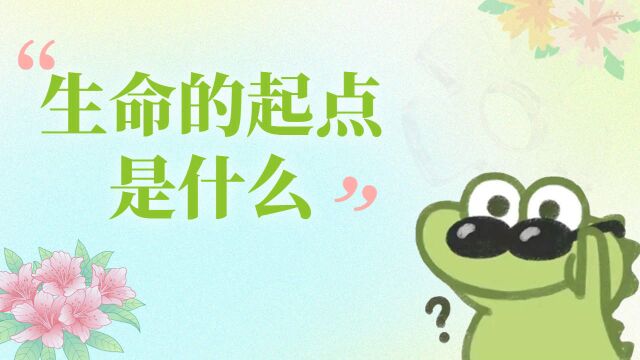 可我想问,生命的起点是什么呢