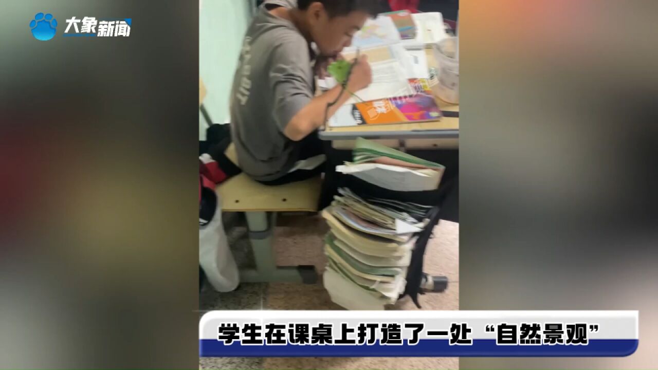 学生在课桌上打造了一处“自然景观” ,班主任:想象力动手能力都很强