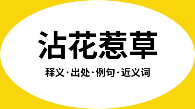 “沾花惹草”是什么意思?