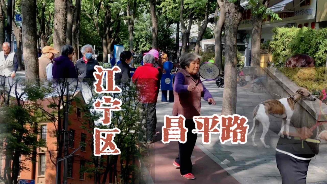 浓浓的老上海气息:上海曾经有个江宁区,小众马路昌平路