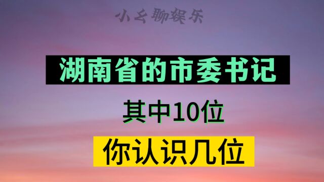 湖南省其中10位市委书记,你认识几位,有没有来自你的家乡