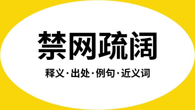 “禁网疏阔”是什么意思?