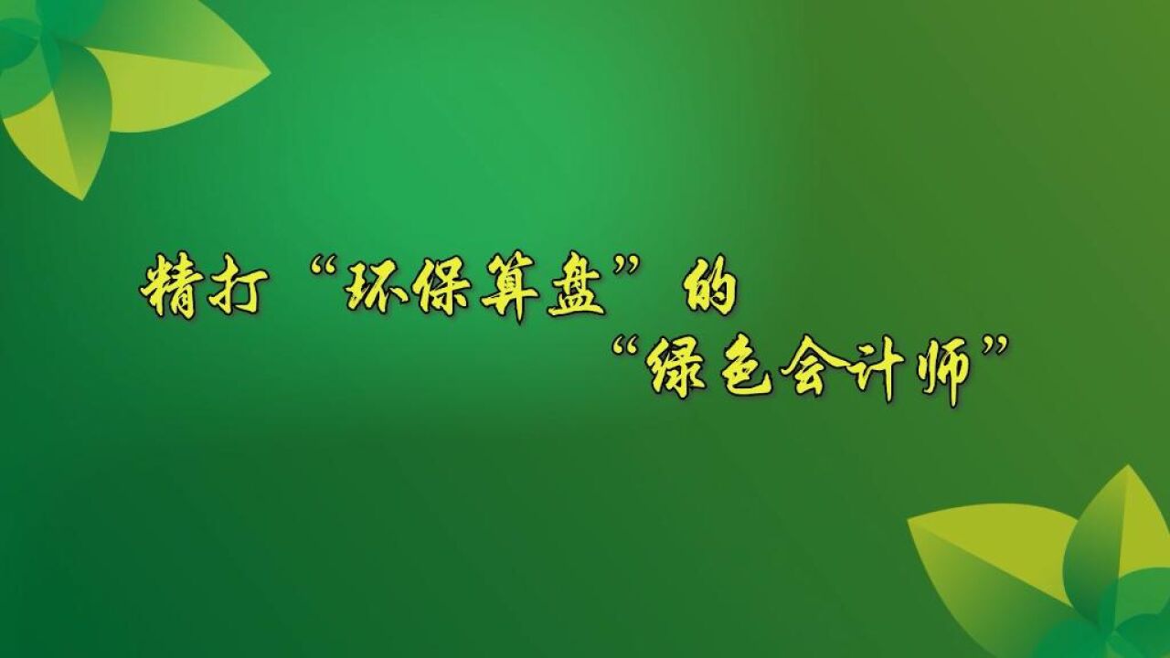 全球连线丨(让“老外”惊“碳”的绿色职业)精打“环保算盘”的“绿色会计师”