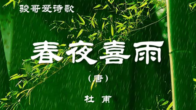 骏哥爱诗歌:杜甫《春夜喜雨(好雨知时节)》,经典赏析