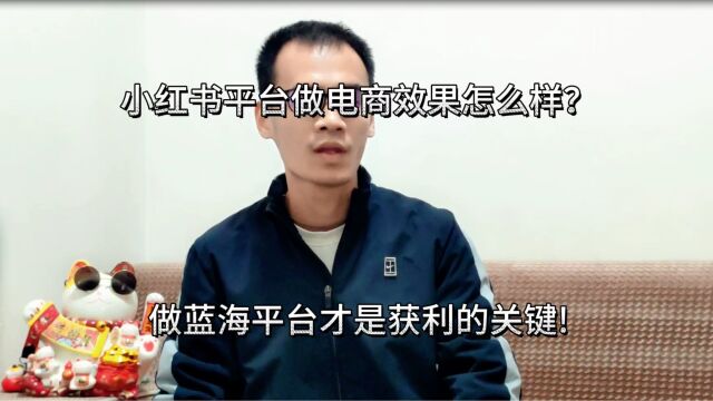 小红书平台做电商效果怎么样?做蓝海平台才是获利的关键!