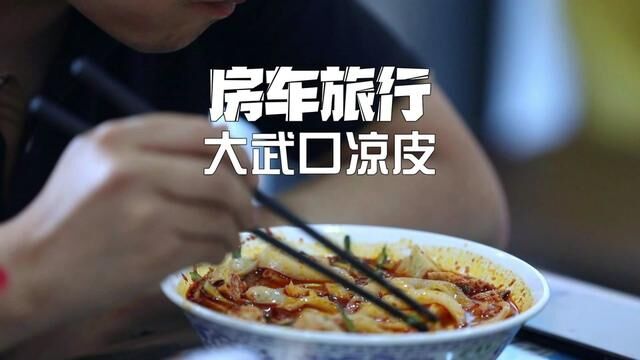 你家乡的美食代表是什么?评论区告诉我#大武口凉皮 #家乡美食 #一马的房车生活 #vlog日常 #旅行日记