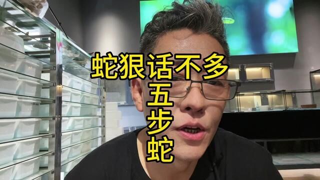 蛇狠话不多的五步蛇#五步蛇