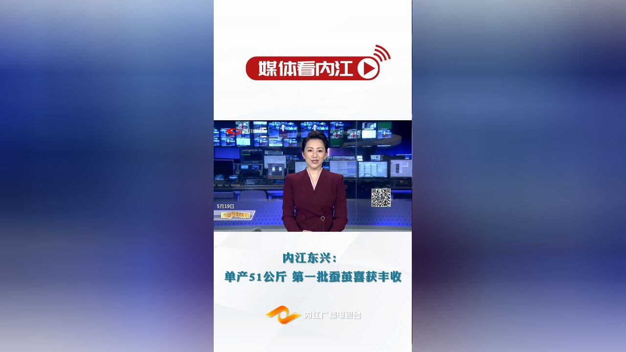 媒体看内江 | 内江东兴:单产51公斤 第一批蚕茧喜获丰收