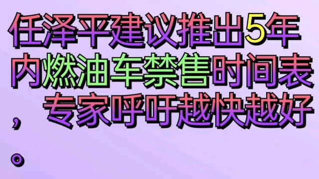 任泽平建议推出五年内燃油车禁售时间表,专家呼吁越快越好.