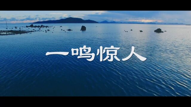 重庆云阳言值语言教育《国学故事之一鸣惊人》