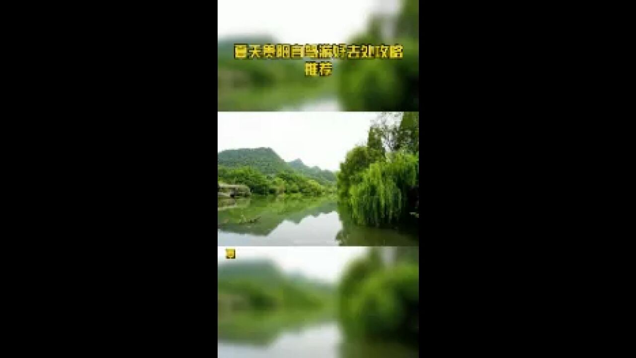 夏天贵阳自驾游好去处攻略推荐