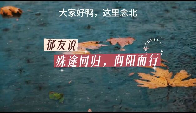 殊途同归,向阳而行