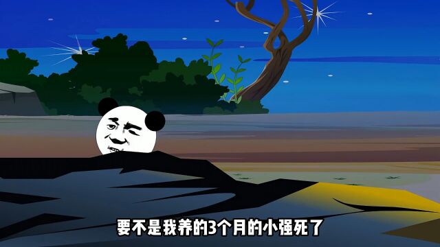 这是我小时候的故事