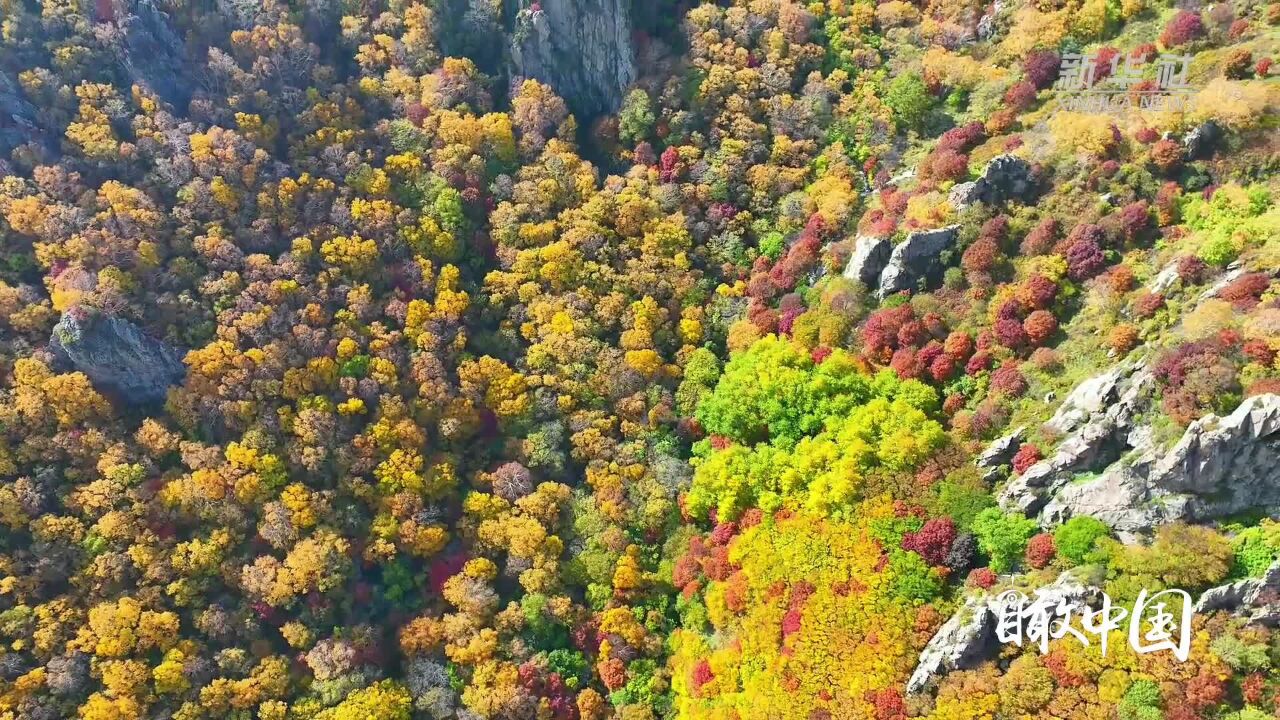 瞰中国|河北隆化:满山红叶风光好