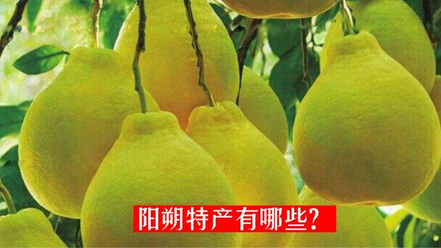 阳朔特产有哪些?