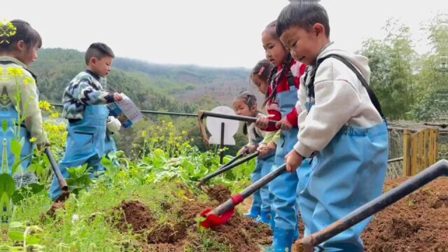 倾听幼儿相伴成长