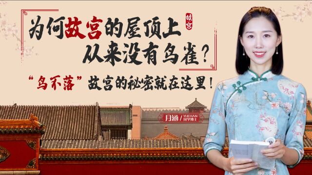 为何故宫的屋顶上从来没有鸟雀?“鸟不落”故宫的秘密就在这里!